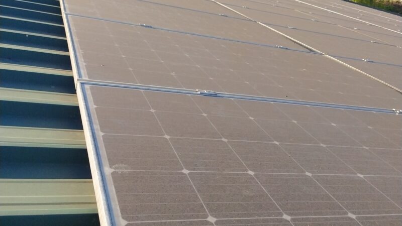 IMG_20240329_080159_1