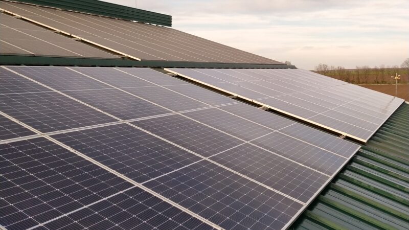 IMG_20240330_165146_1