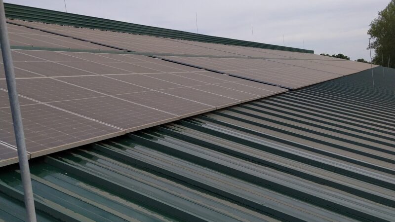 IMG_20240503_105052_1