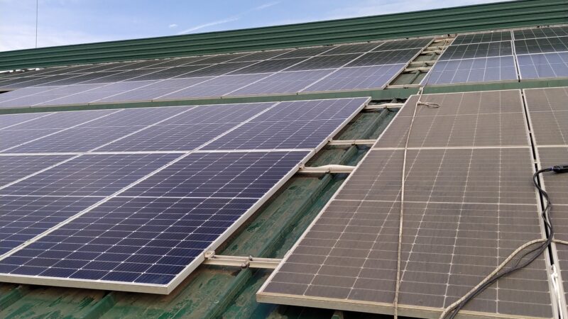 IMG_20240503_105056_1