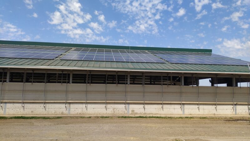 IMG_20240505_125752_1